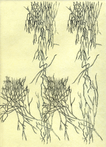 Image #3 of 12: 
